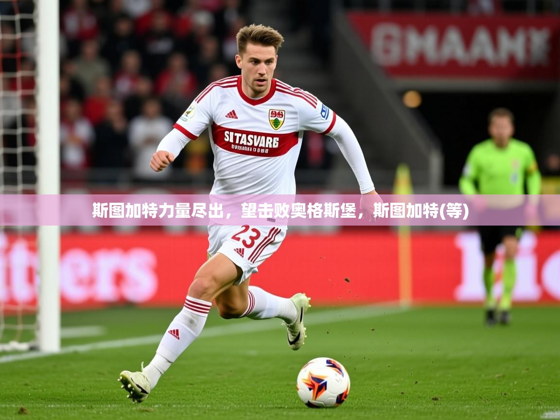 2025 欧宝体育平台官网斯图加特力量尽出，望击败奥格斯堡，斯图加特(等)  第4张